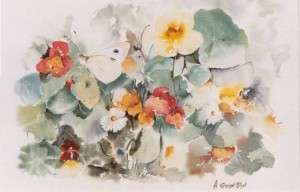 Aquarelle du jardin